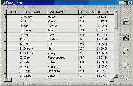     TIBDataSet